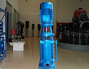 DL（R）型立式多级离心泵