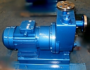 ZCQ型自吸式防暴磁力泵